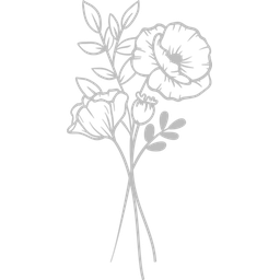 August - Poppy