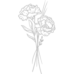 January - Carnation