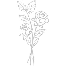 June - Rose