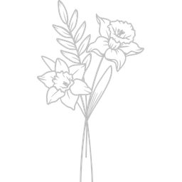 March - Daffodil