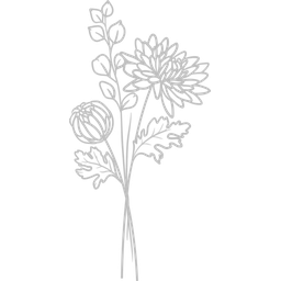 November - Chrysanthemum