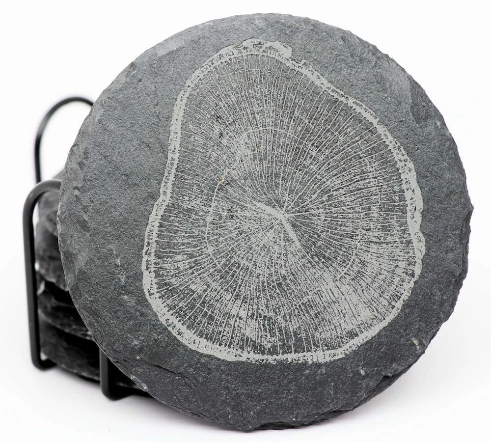 Tree Rings Coaster Set - Round Slate